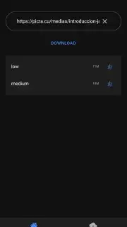 Picta Downloader screenshot 2