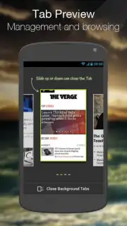 Next Browser screenshot 4