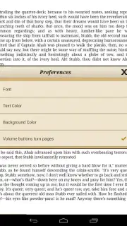 Ebook Reader screenshot 13