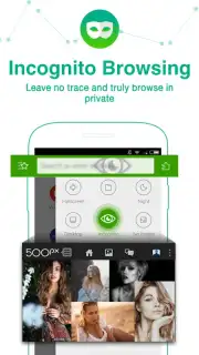 Dolphin Browser HD screenshot 4