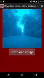 Скачать картинку видео из инстаграм screenshot 5