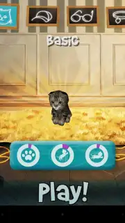Cat Simulator screenshot 2