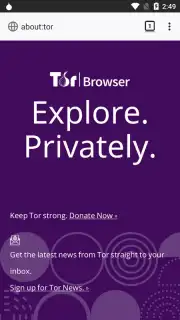 Tor Browser screenshot 18