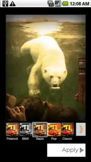 Polaroid PoGo App screenshot 4