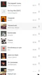 BiRD - Музыка из ВК screenshot 1