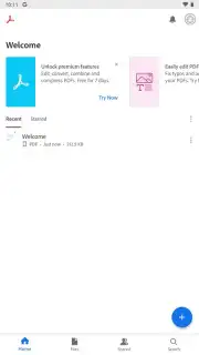 Adobe Acrobat Reader screenshot 12