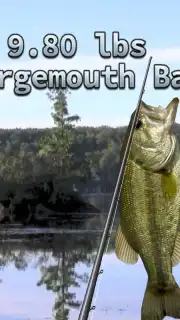i Fishing 3 Lite screenshot 6