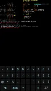 Dungeon Crawl: Stone Soup screenshot 11