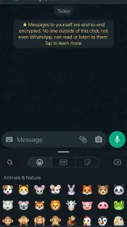 WhatsApp Messenger screenshot 23