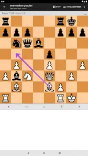 Chess Tactics Pro screenshot 11