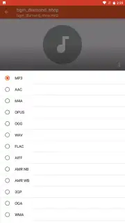 Audio Converter screenshot 3