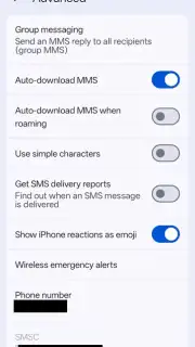 Google Messages screenshot 12