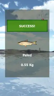 Fishing 3D Simulator. The Lakes screenshot 1