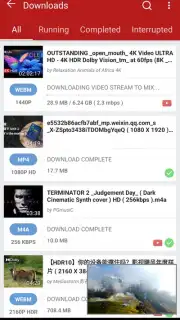YVideo Downloader screenshot 2