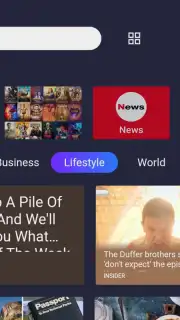Open Browser screenshot 6