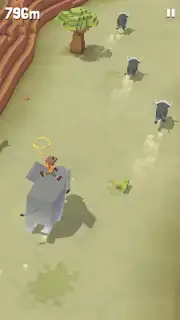 Rodeo Stampede screenshot 11