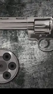 Best Russian Roulette screenshot 6