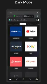 Vivaldi screenshot 11