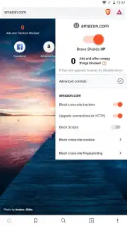 Brave Nightly (devs & testers) screenshot 1