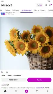 PicsArt screenshot 23