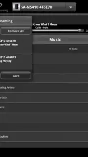 Network Audio Remote screenshot 5