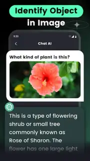 AI Chat screenshot 5