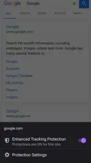 Iceraven Browser screenshot 8