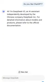 DeepSeek screenshot 6