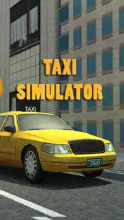 Taxi Driver 3D Simulator screenshot 16