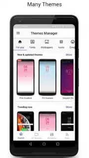 Themes Manager screenshot 1