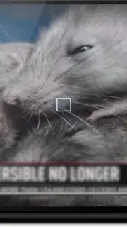 KgTv Player - IPTV Player screenshot 13