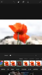 PicsArt screenshot 28
