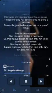 RiMusic screenshot 4
