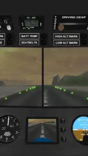 Airplane Pilot Simulator 3D screenshot 3
