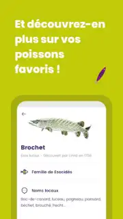 Génération Pêche screenshot 1
