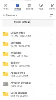 Microsoft OneDrive screenshot 1