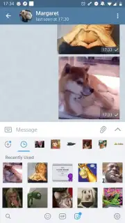 ForkGram screenshot 8