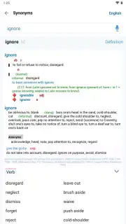 Reverso Translation Dictionary screenshot 21