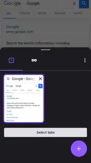 Iceraven Browser screenshot 10