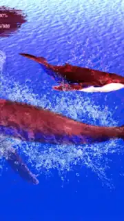 The Humpback Whales screenshot 21