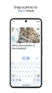 Google Gemini screenshot 6