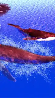 The Humpback Whales screenshot 11