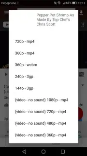 VidCatch screenshot 1