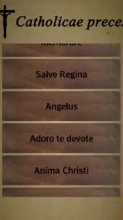 Catholicae preces screenshot 2
