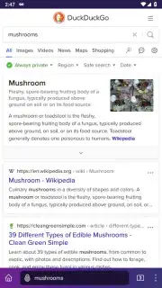 Tor Browser screenshot 5