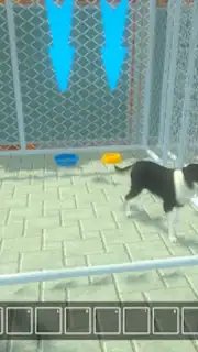 Animal Shelter Pet World Life screenshot 3