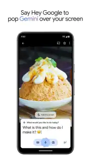Google Gemini screenshot 11