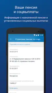 ПФР Электронные сервисы screenshot 2