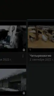Video App for VK screenshot 10