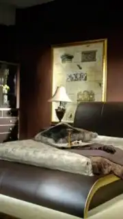 Bedroom Decorating Ideas screenshot 9
